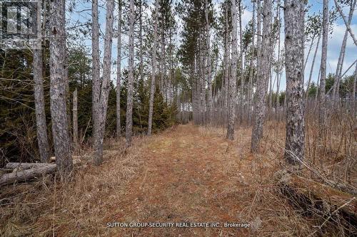 7892 5Th Side Road, Adjala-Tosorontio, ON - Outdoor With View