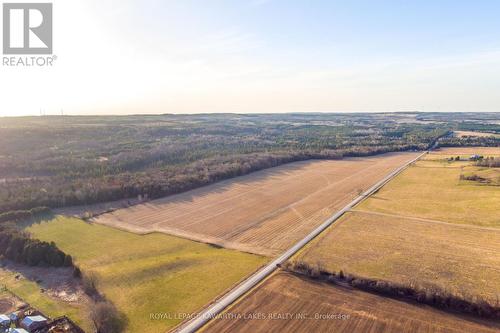 Con 7Pt Lot 7 Century Farm Road, Kawartha Lakes (Janetville), ON 