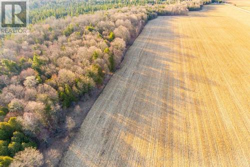 Con 7Pt Lot 7 Century Farm Road, Kawartha Lakes (Janetville), ON 