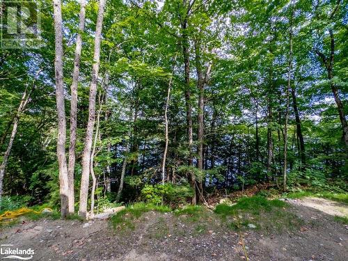 Property - 16 Long & Winding Road, Seguin, ON - Outdoor