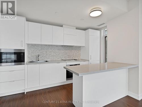 4102 - 21 Widmer Street, Toronto, ON - Indoor Photo Showing Kitchen With Upgraded Kitchen