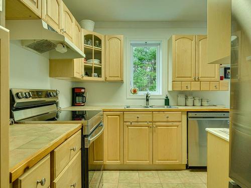 Kitchen - 3 Rue Bob-Seale, Morin-Heights, QC - Indoor Photo Showing Kitchen With Double Sink