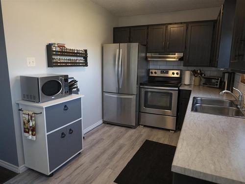 558 Tupper Street, Thunder Bay, ON - Indoor Photo Showing Kitchen With Double Sink