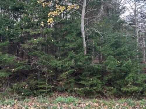 Lot 32 Lakeview Avenue, Middle Sackville, NS 