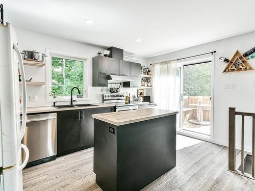 Kitchen - 989 Rue Harit, Morin-Heights, QC - Indoor Photo Showing Kitchen With Double Sink