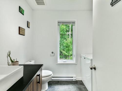 Powder room - 989 Rue Harit, Morin-Heights, QC - Indoor Photo Showing Bathroom