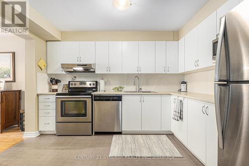 117 Sweetwater Lane, Ottawa, ON - Indoor Photo Showing Kitchen With Stainless Steel Kitchen With Double Sink