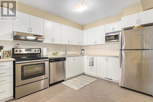 117 Sweetwater Lane, Ottawa, ON - Indoor Photo Showing Kitchen With Stainless Steel Kitchen