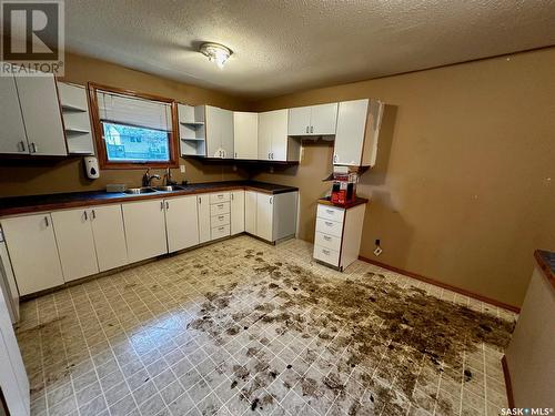 135 Halifax Street, Regina, SK - Indoor Photo Showing Kitchen With Double Sink