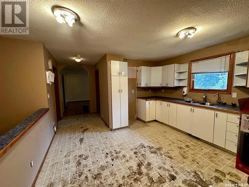 135 Halifax Street, Regina, SK - Indoor Photo Showing Kitchen With Double Sink