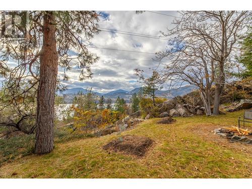 223 Sunnybrook Drive, Okanagan Falls, BC - Outdoor With View