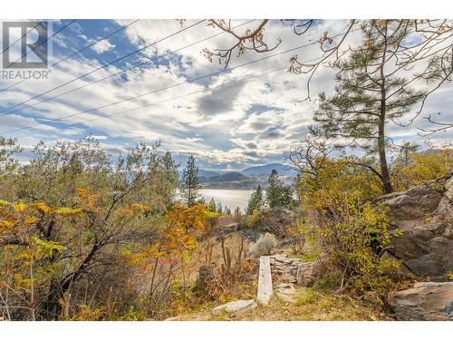 223 Sunnybrook Drive, Okanagan Falls, BC - Outdoor With View