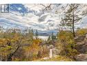 223 Sunnybrook Drive, Okanagan Falls, BC  - Outdoor With View 