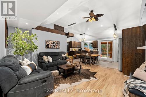 330 Irene Drive, Georgina, ON - Indoor Photo Showing Living Room