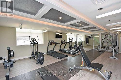 G28 - 1575 Lakeshore Road W, Mississauga, ON - Indoor Photo Showing Gym Room