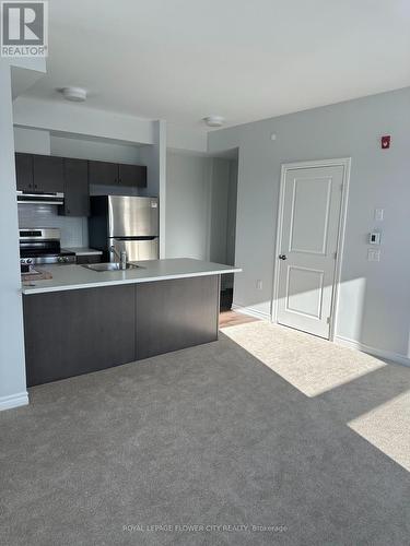 615 - 397 Codd'S Road, Ottawa, ON - Indoor Photo Showing Kitchen