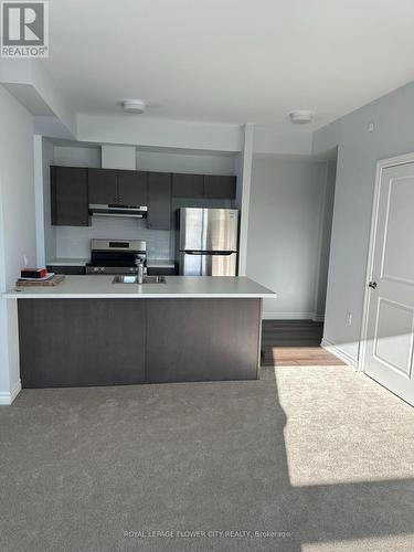 615 - 397 Codd'S Road, Ottawa, ON - Indoor Photo Showing Kitchen With Double Sink