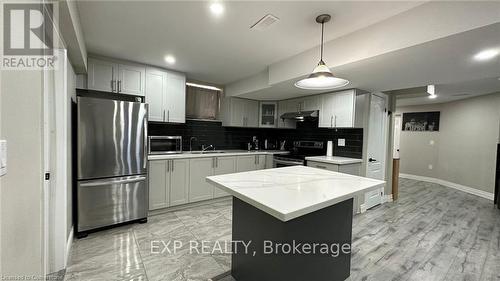 Lower - 119 Elmbank Trail, Kitchener, ON - Indoor Photo Showing Kitchen With Stainless Steel Kitchen