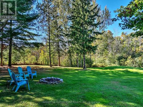 33 Northline Road, Kawartha Lakes, ON - Outdoor