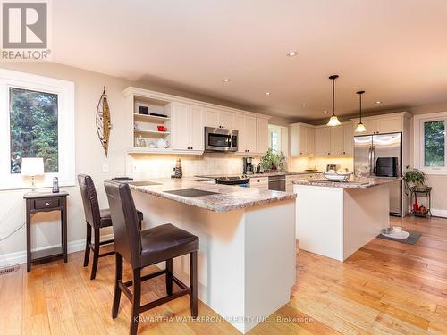 33 Northline Road, Kawartha Lakes, ON - Indoor Photo Showing Kitchen With Upgraded Kitchen