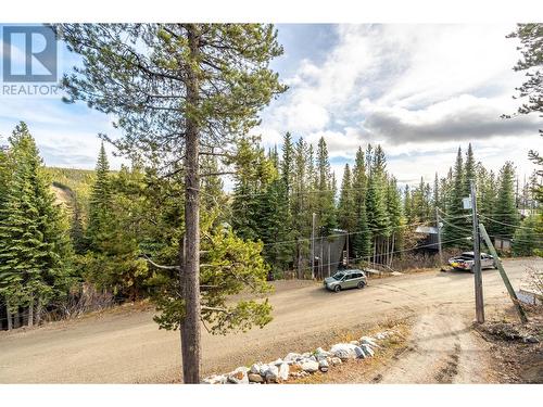 175 Porcupine Road, Oliver, BC - Outdoor With View