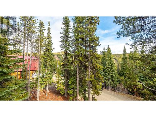 175 Porcupine Road, Oliver, BC - Outdoor