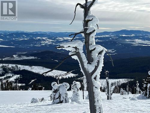 175 Porcupine Road, Oliver, BC - Outdoor With View