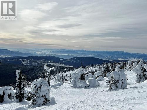 175 Porcupine Road, Oliver, BC - Outdoor With View