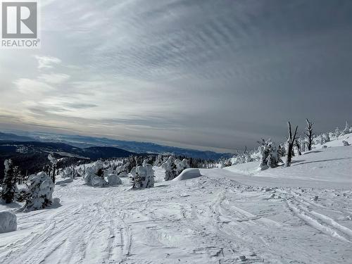 175 Porcupine Road, Oliver, BC - Outdoor With View