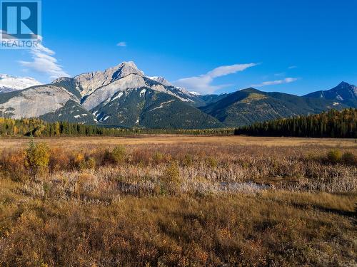 2304 Holmes-Deakin Road, Golden, BC - Outdoor With View