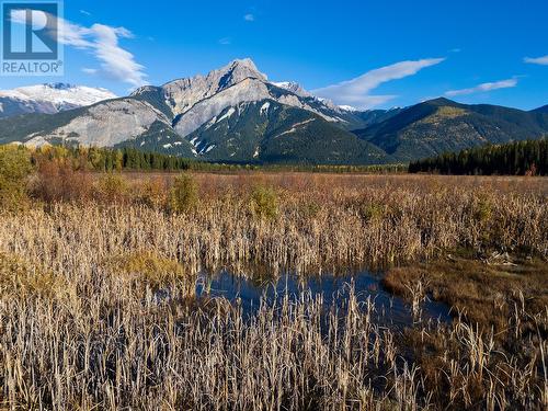 2304 Holmes-Deakin Road, Golden, BC - Outdoor With View