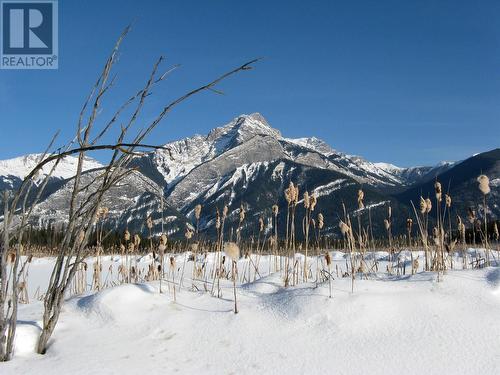 2304 Holmes-Deakin Road, Golden, BC - Outdoor With View