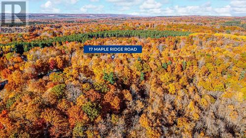 17 Maple Ridge Road, Oro-Medonte, ON 