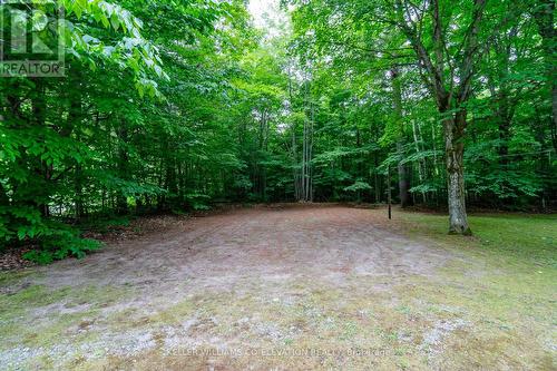 1240 Methodist Point Road, Tiny, ON - Outdoor