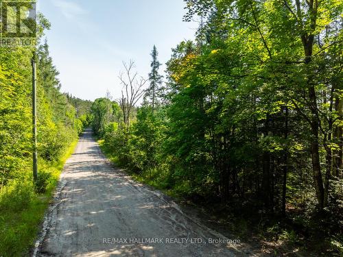 1650 Hekkla Road, Muskoka Lakes, ON 