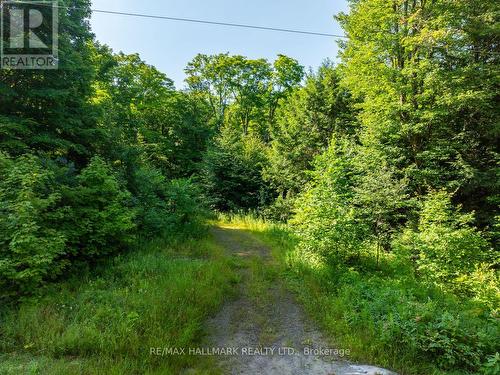 1650 Hekkla Road, Muskoka Lakes, ON 