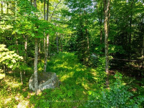 1650 Hekkla Road, Muskoka Lakes, ON 