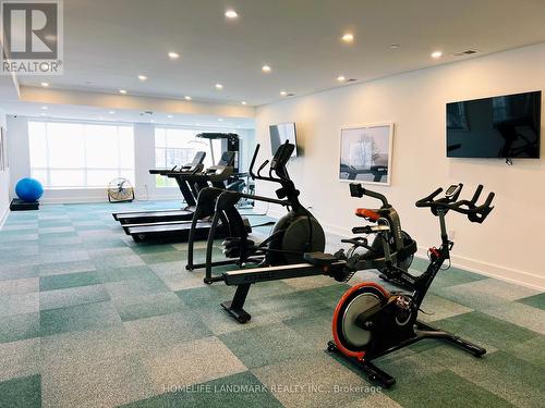 507 - 480 Callaway Road, London, ON - Indoor Photo Showing Gym Room