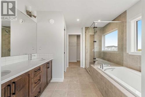 107 Chelsea Channel, Chestermere, AB - Indoor Photo Showing Bathroom