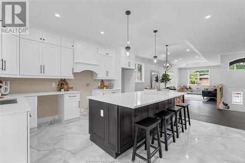 866 Maple Avenue, Lasalle, ON - Indoor Photo Showing Kitchen With Upgraded Kitchen