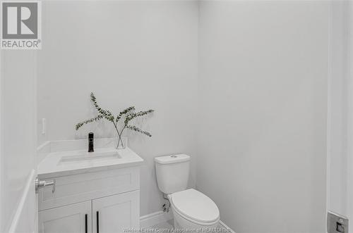 866 Maple Avenue, Lasalle, ON - Indoor Photo Showing Bathroom