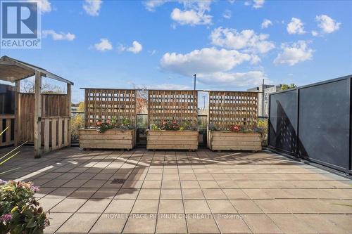 301 - 150 Wellington Street E, Guelph, ON - Outdoor With Deck Patio Veranda