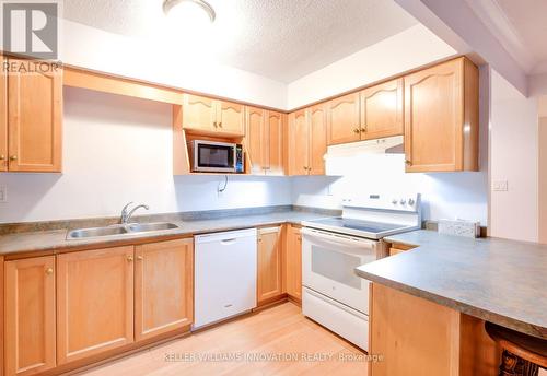 209 - 260 Sheldon Avenue N, Kitchener, ON - Indoor Photo Showing Kitchen With Double Sink