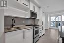 905 - 560 Rideau Street, Ottawa, ON  - Indoor Photo Showing Kitchen With Upgraded Kitchen 