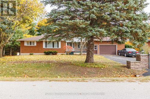 54 Townley Street, Clearview, ON - Outdoor