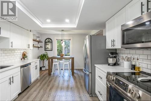 915 Dalhousie Drive, London, ON - Indoor Photo Showing Kitchen With Upgraded Kitchen