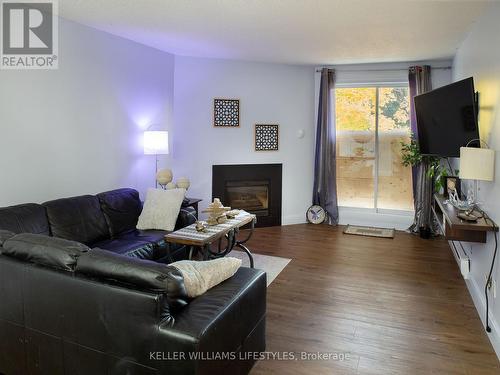 219 - 727 Deveron Crescent, London, ON - Indoor Photo Showing Living Room With Fireplace