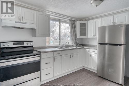 929 Bridge Avenue, Windsor, ON - Indoor Photo Showing Kitchen With Double Sink