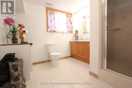 20161 Bathurst Street, East Gwillimbury, ON - Indoor Photo Showing Bathroom