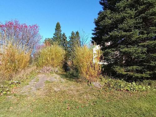 Parking - 237 4E Avenue, Saint-Paul-De-Montminy, QC - Outdoor With View